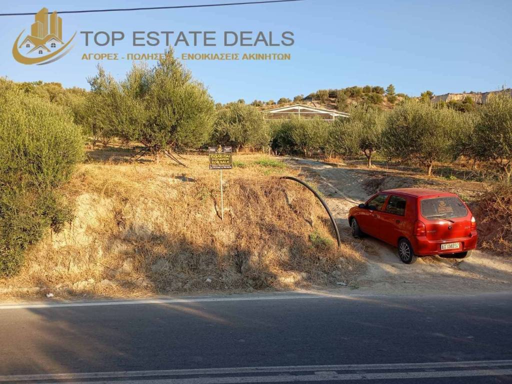 Είσοδος οικοπέδου -επαρχιακή οδός Τρικάλων