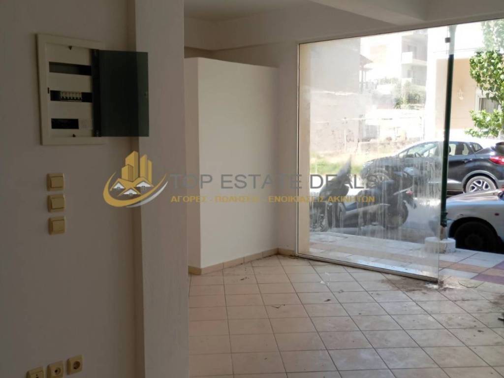 elektrikos pinakas -eisodos katastematos