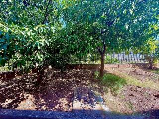 Εξωτερικοι χώροι