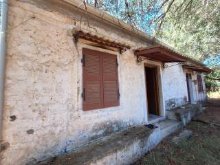 Detached - Grekodom 63893|1004127