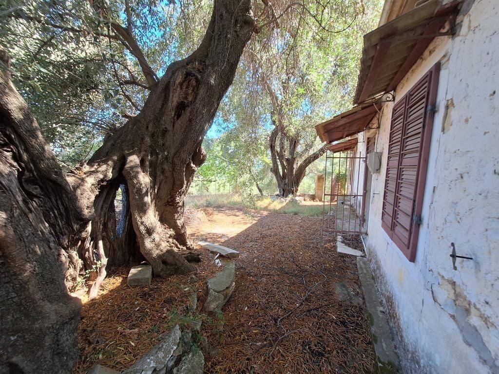 Detached - Grekodom 63893|1004123