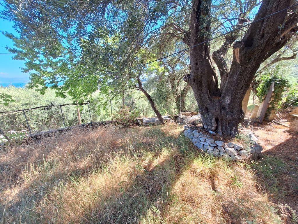 Detached - Grekodom 63893|1004125