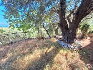 Detached - Grekodom 63893|1004125