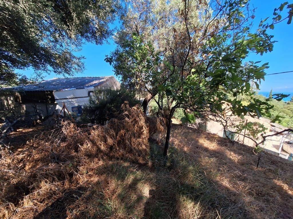 Detached - Grekodom 63893|1004126