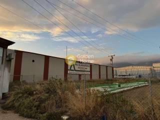 Ανελκυστήρας