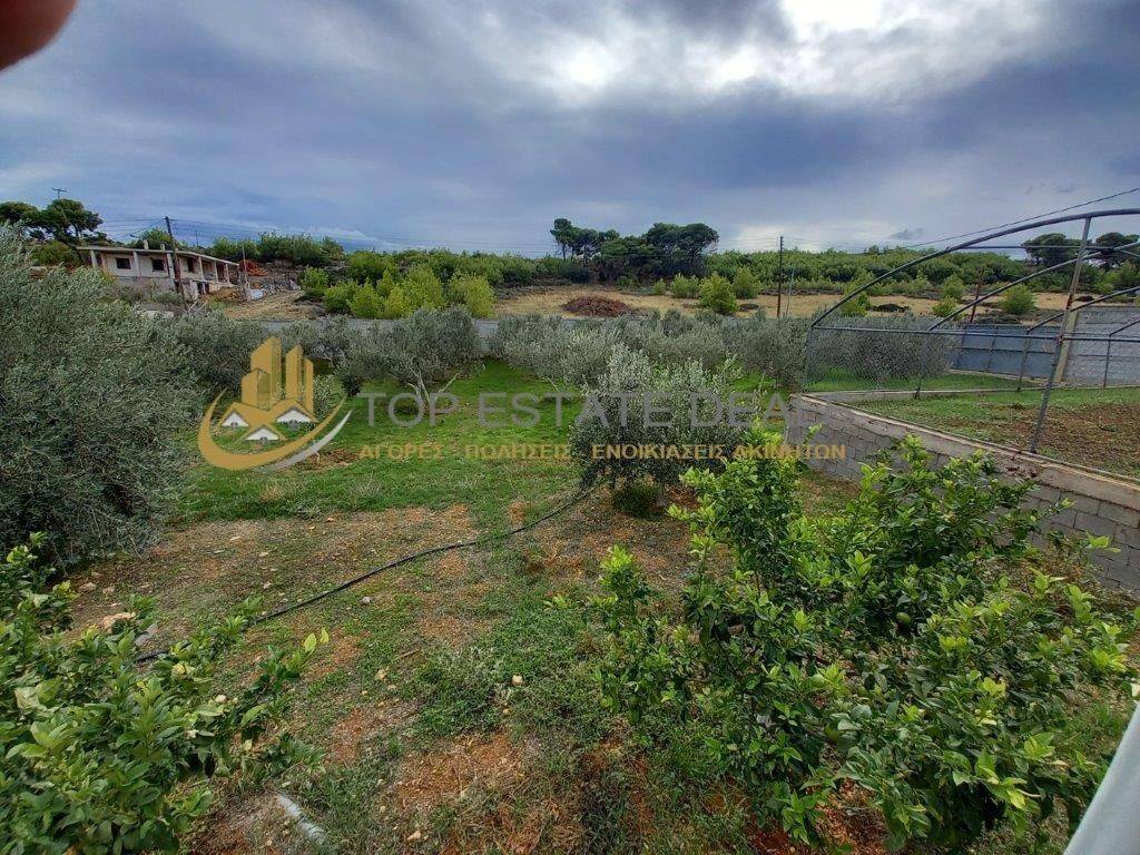 Apopse kepoy - thermokepio