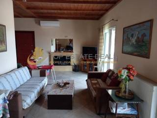 tzaki -klimatistiko -saloni-kentrike porta asphaleias