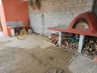 xylophoyrnos - lantza