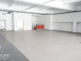 Forumland Real Estate, Επαγγελματικός χώρος