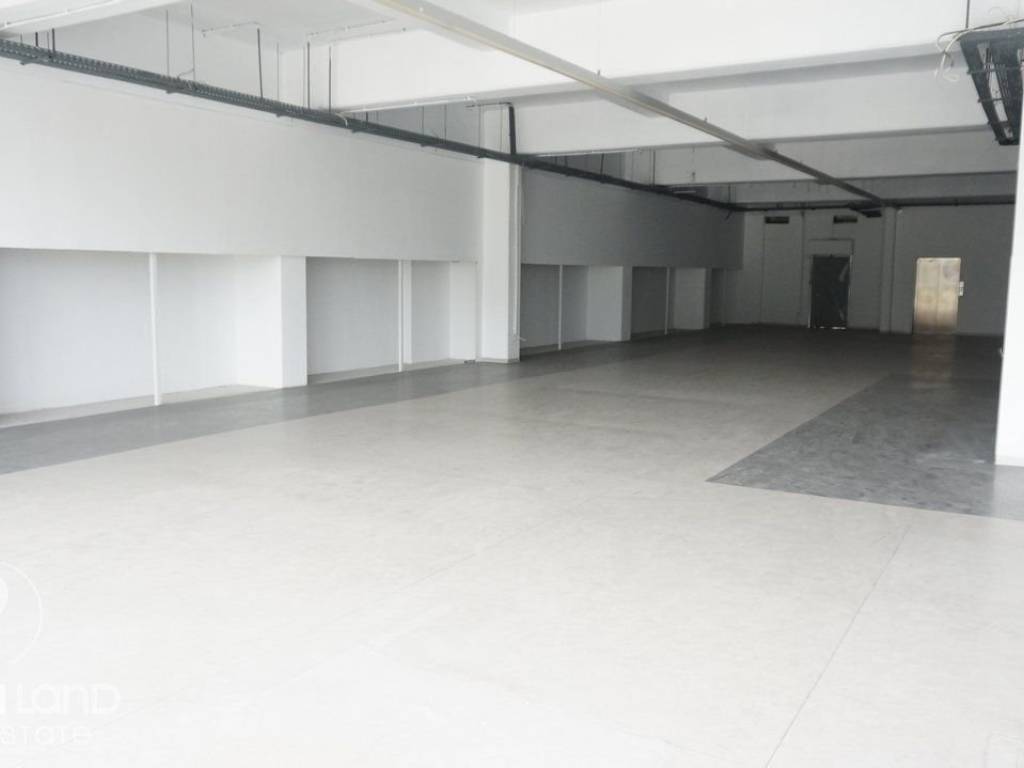 Forumland Real Estate, επαγγελματικός χώρος