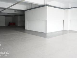 Forumland Real Estate, επαγγελματικός χώρος