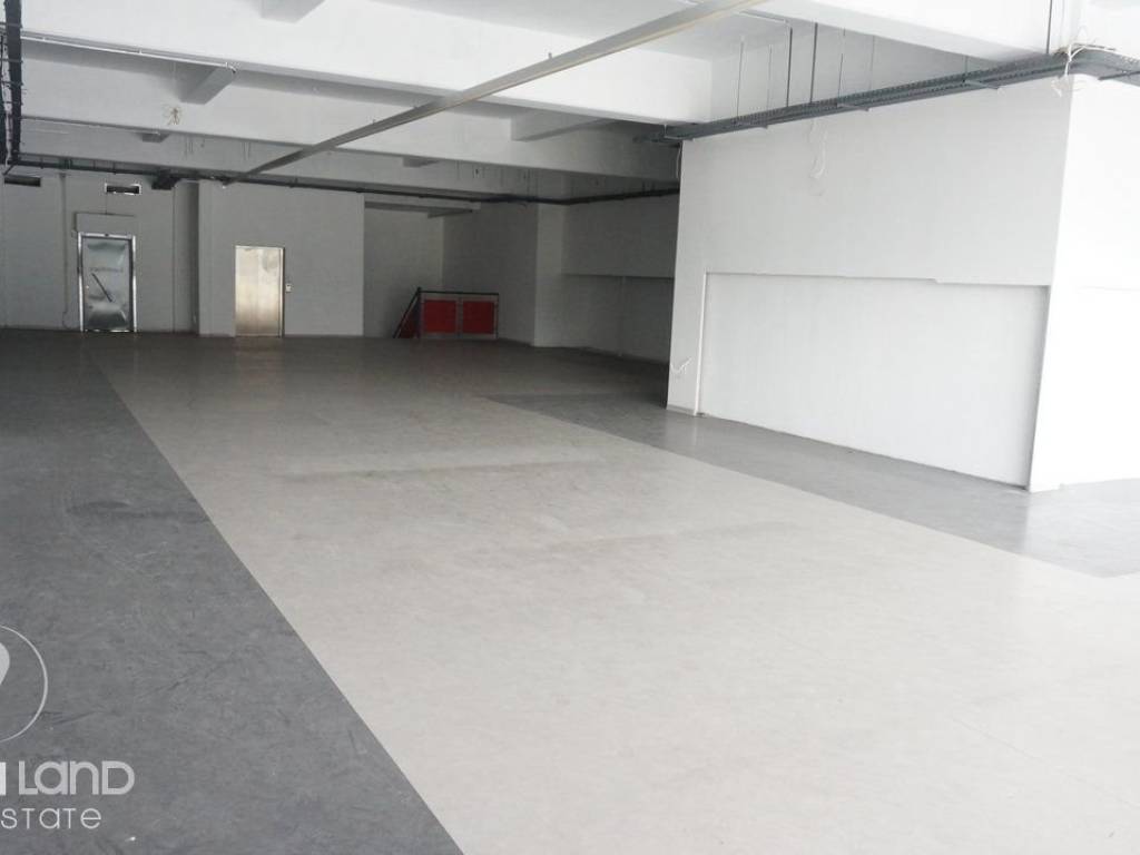 Forumland Real Estate, επαγγελματικός χώρος