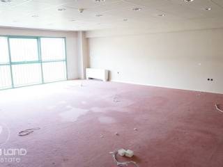 Forumland Real Estate, επαγγελματικός χώρος