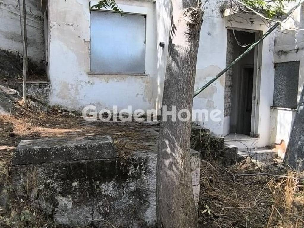 Εξωτερικός Χώρος