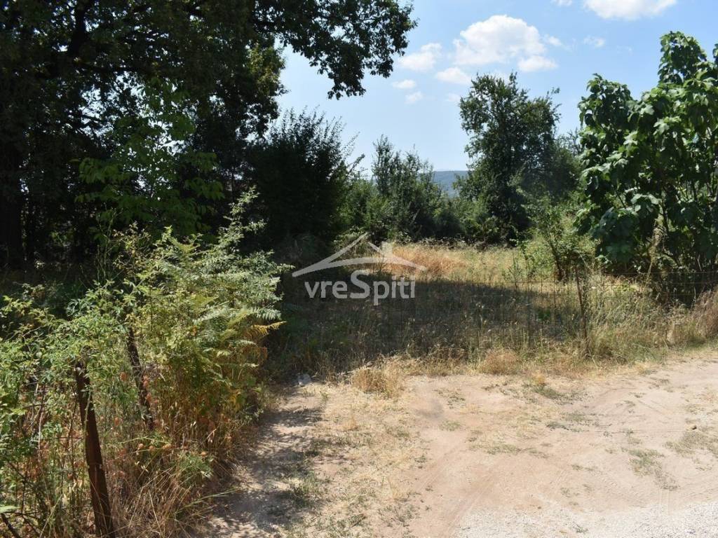 ΑΠΟΨΗ ΟΙΚΟΠΕΔΟΥ