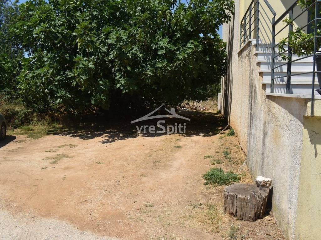 ΑΠΟΨΗ ΟΙΚΟΠΕΔΟΥ