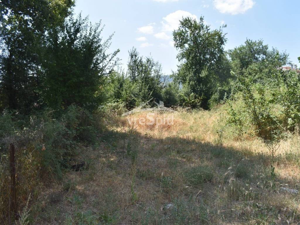 ΑΠΟΨΗ ΟΙΚΟΠΕΔΟΥ