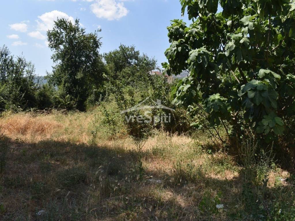 ΑΠΟΨΗ ΟΙΚΟΠΕΔΟΥ