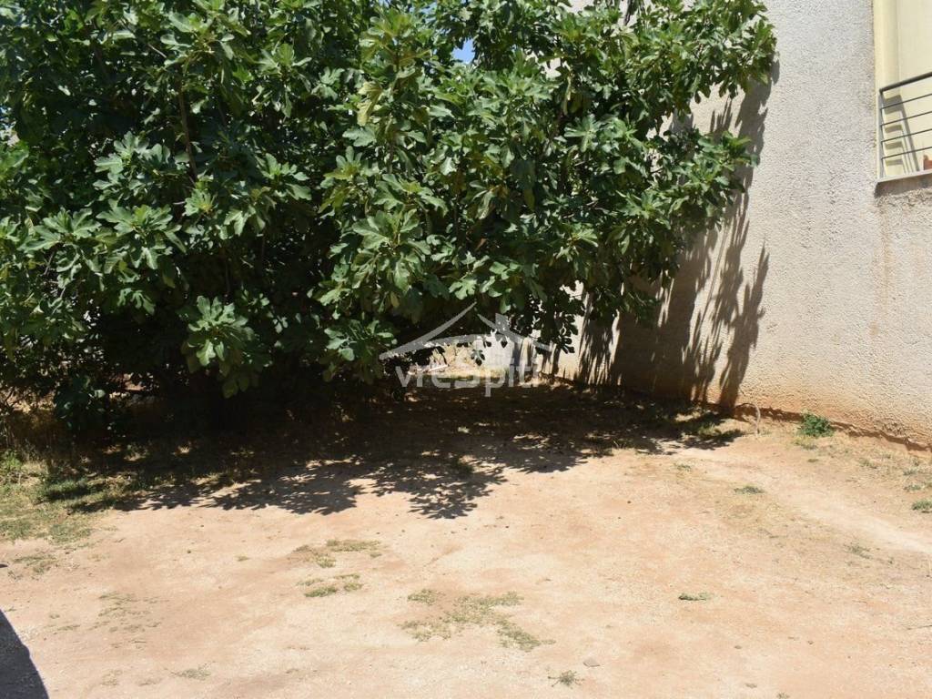 ΑΠΟΨΗ ΟΙΚΟΠΕΔΟΥ