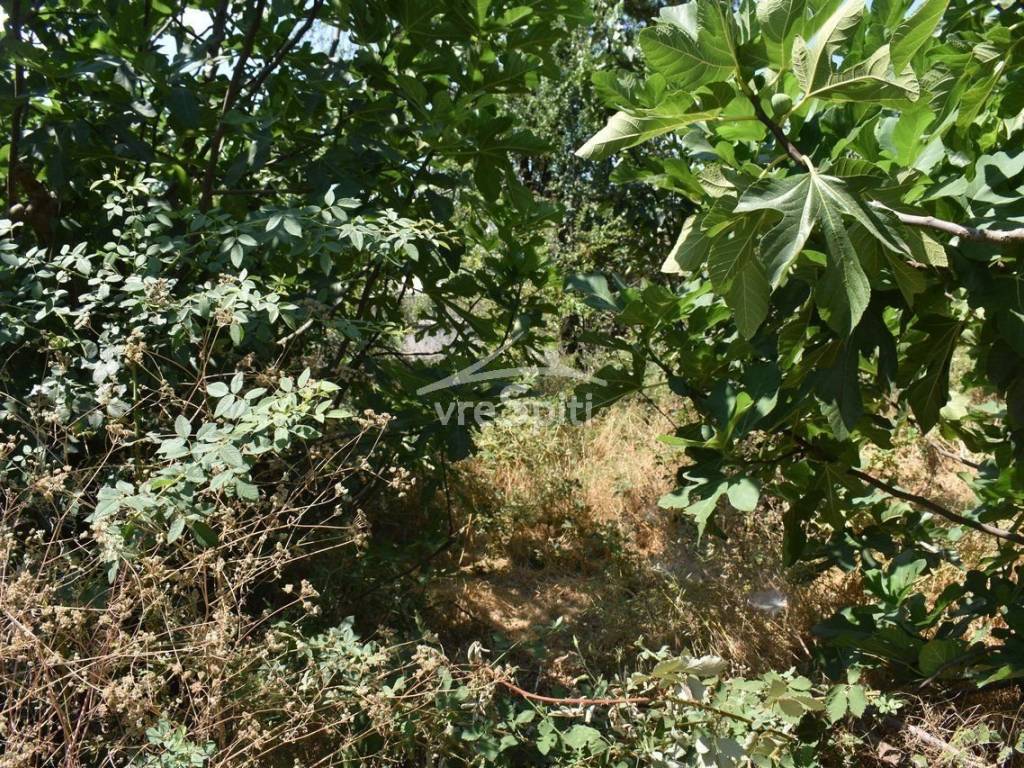 ΑΠΟΨΗ ΟΙΚΟΠΕΔΟΥ