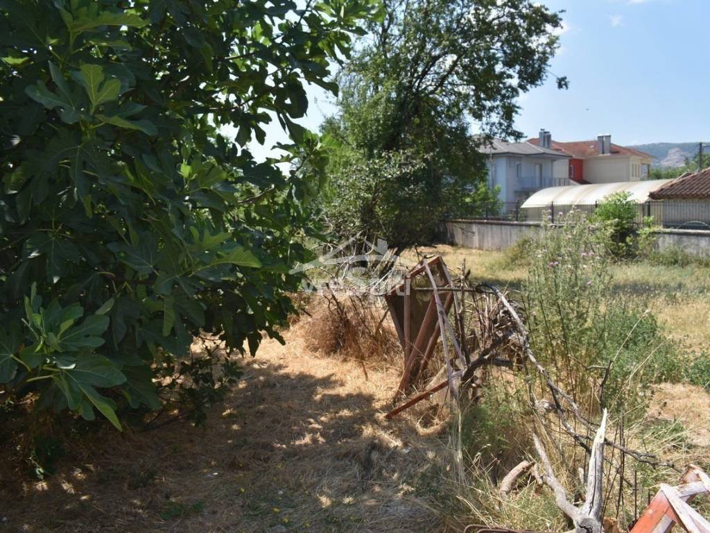 ΑΠΟΨΗ ΟΙΚΟΠΕΔΟΥ