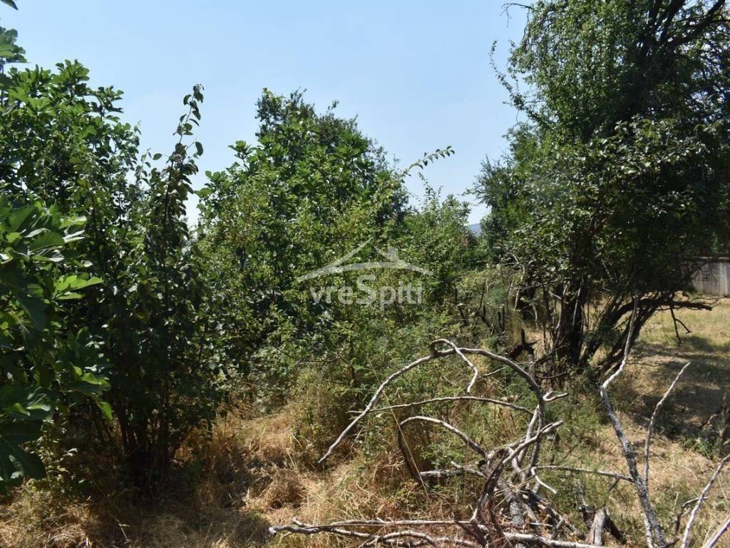 ΑΠΟΨΗ ΟΙΚΟΠΕΔΟΥ