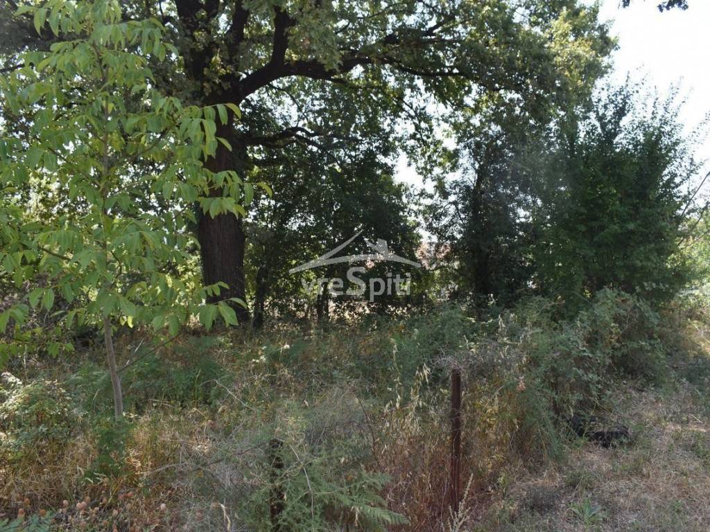 ΑΠΟΨΗ ΟΙΚΟΠΕΔΟΥ