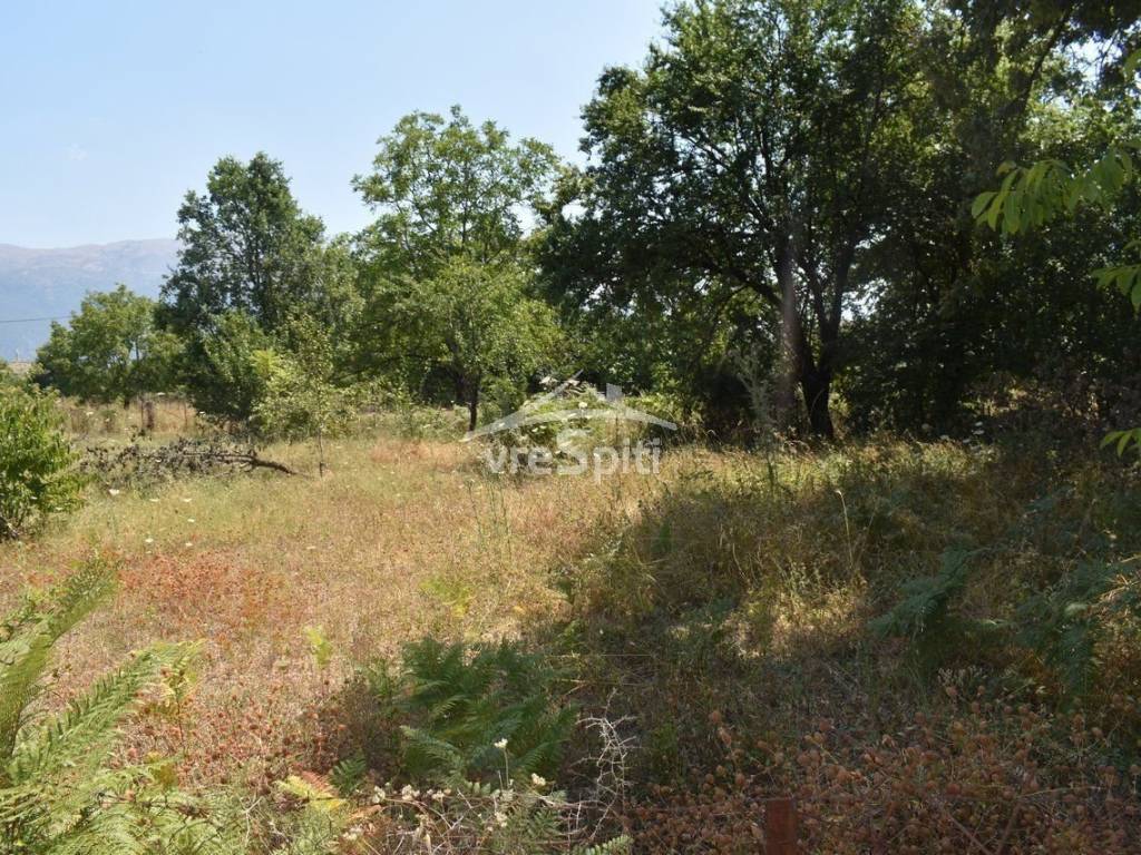 ΑΠΟΨΗ ΟΙΚΟΠΕΔΟΥ