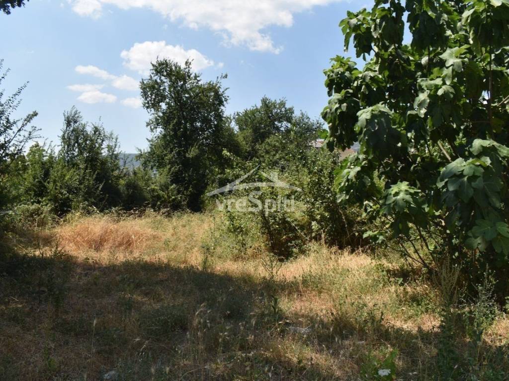 ΑΠΟΨΗ ΟΙΚΟΠΕΔΟΥ