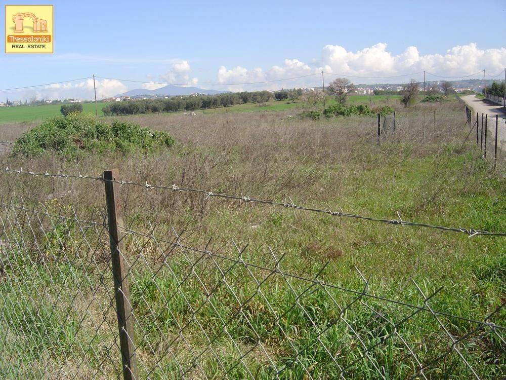 Επανομή, Αγροτεμάχιο, 8.700 τ.μ.