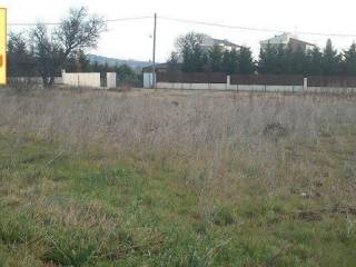 Επανομή, Αγροτεμάχιο, 8.700 τ.μ.