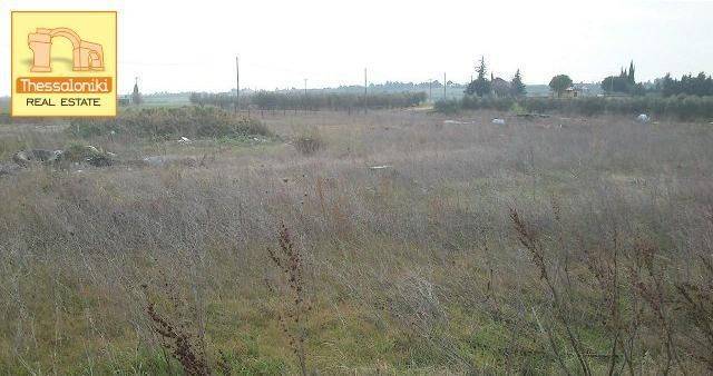 Επανομή, Αγροτεμάχιο, 8.700 τ.μ.