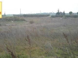 Επανομή, Αγροτεμάχιο, 8.700 τ.μ.