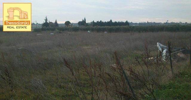 Επανομή, Αγροτεμάχιο, 8.700 τ.μ.