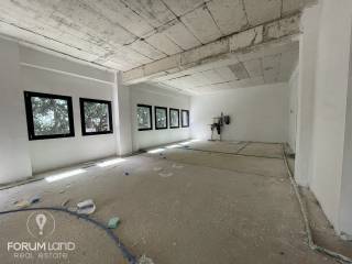 Forumland Real Estate, epaggelmatikos choros