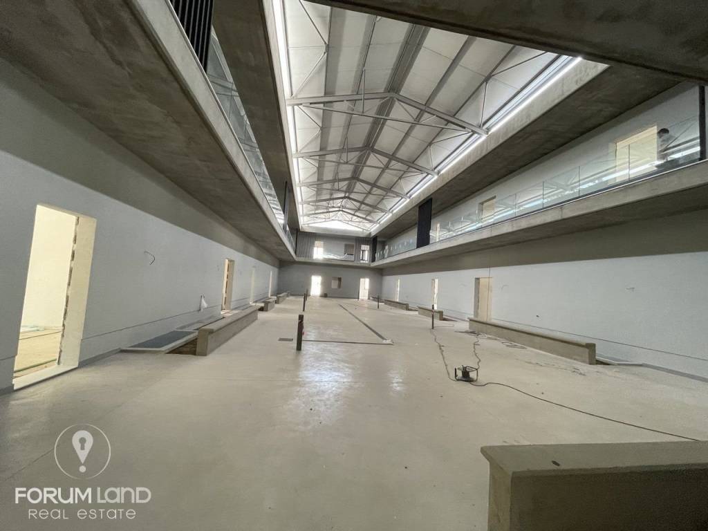 Forumland Real Estate, epaggelmatikos choros