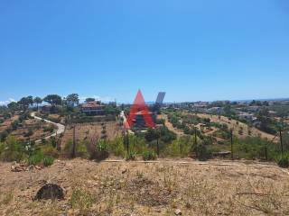 20250712_114016.jpg