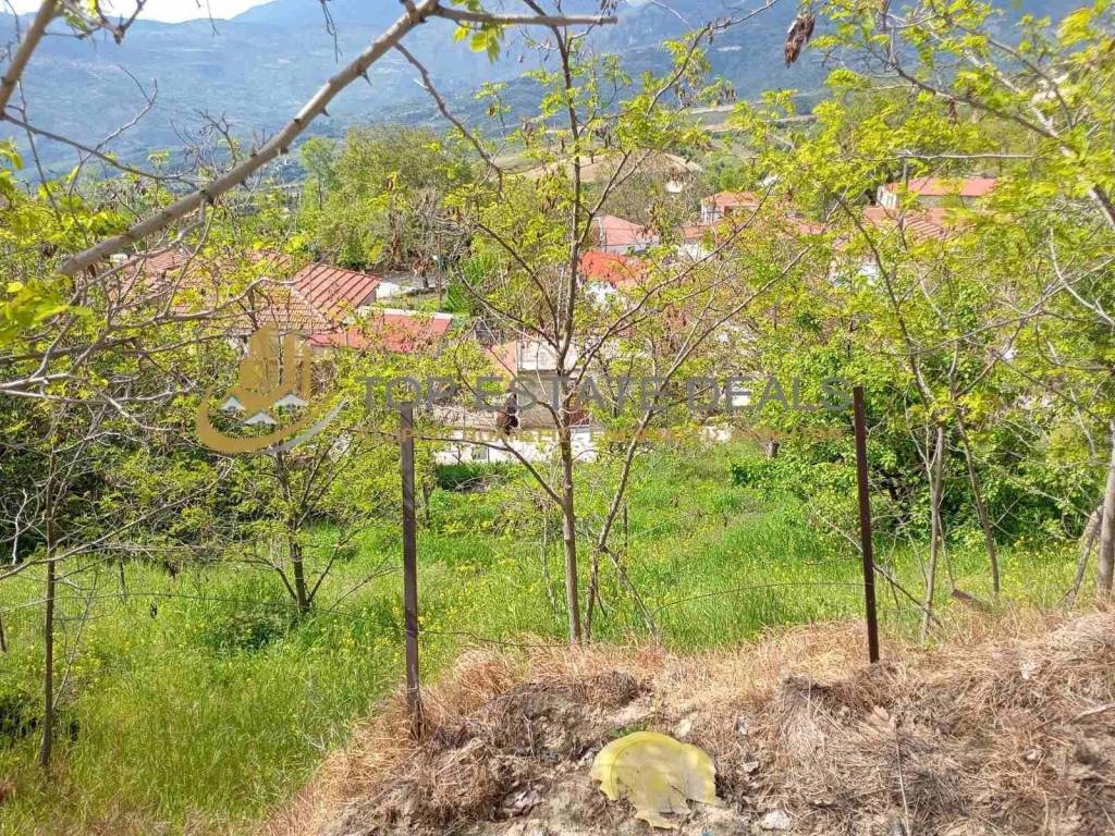 thea apo to oikopedo