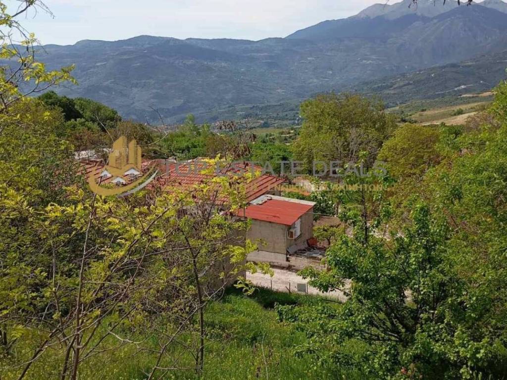 thea apo to oikopedo