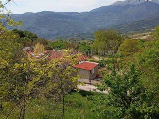 thea apo to oikopedo