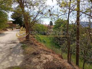 epiklines oikopedo mesa sto chorio ekei poy einai to dendro