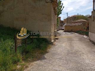 Apopse oikopedoy entos toy chorioy, notio tmema toy