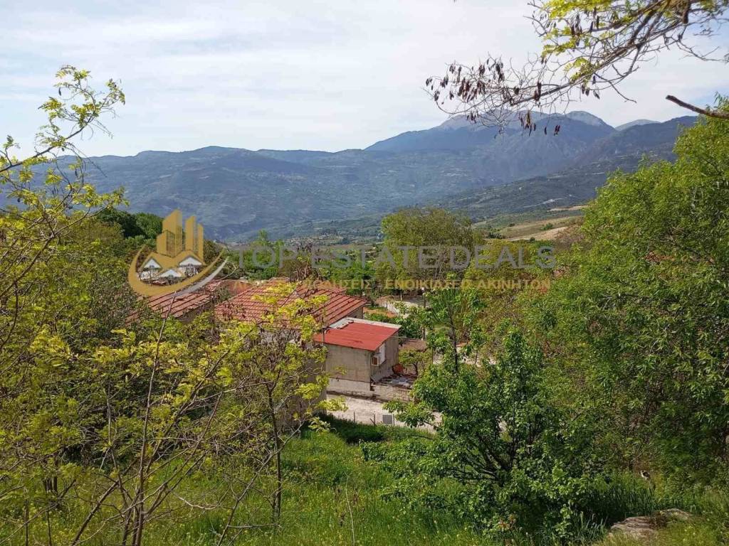 thea apo to oikopedo