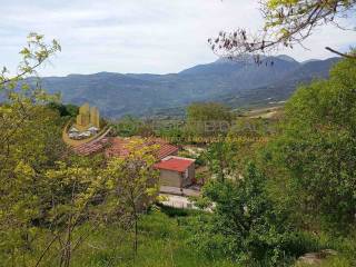 thea apo to oikopedo