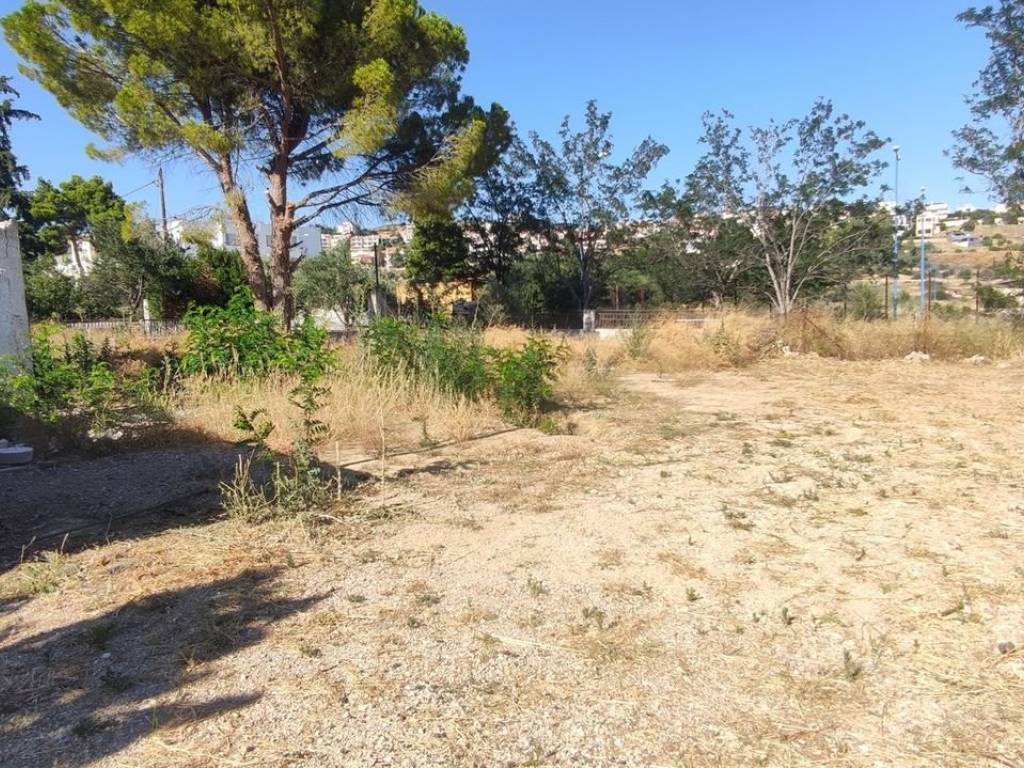 Εξωτερικοι χώροι