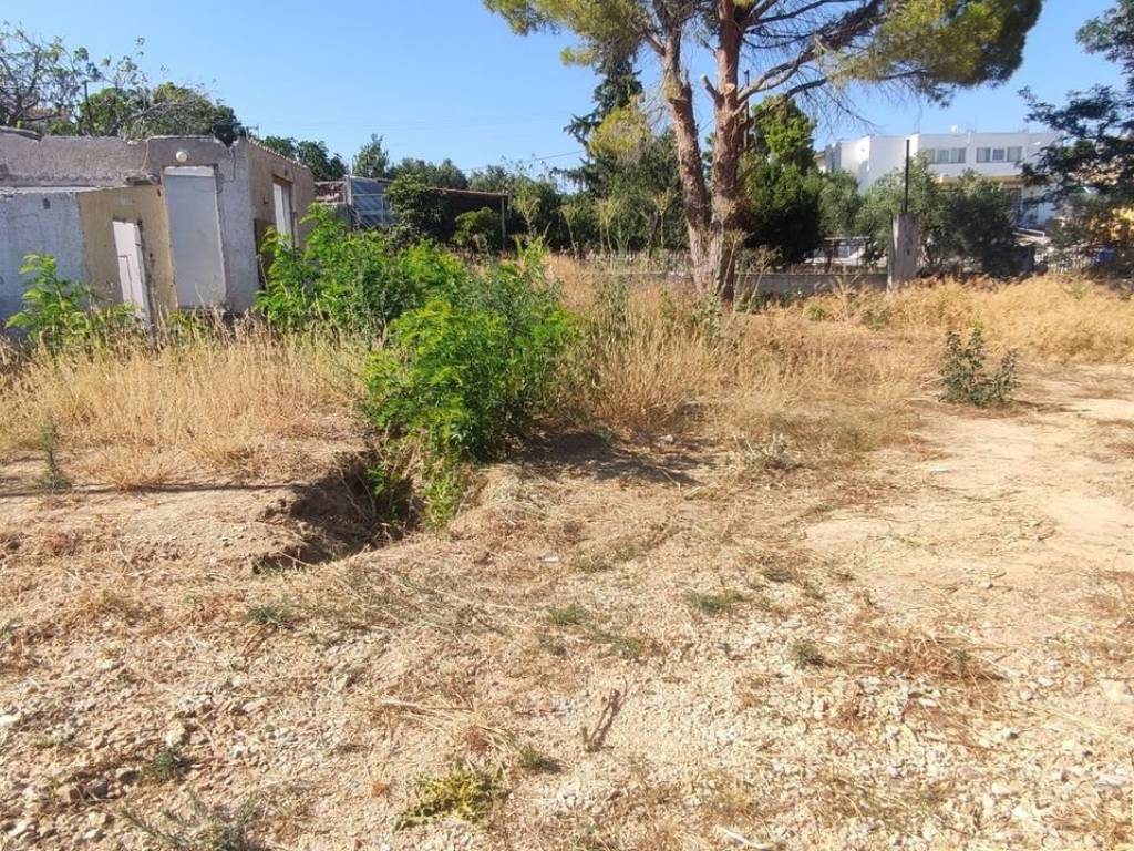 Εξωτερικοι χώροι