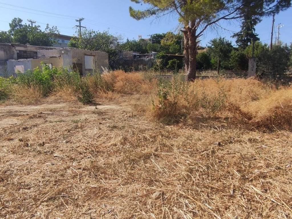 Εξωτερικοι χώροι