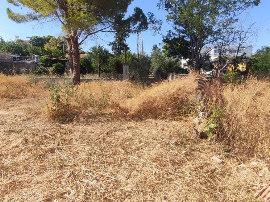 Εξωτερικοι χώροι