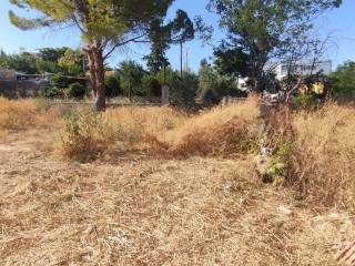 Εξωτερικοι χώροι