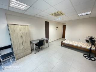 Forumland Real Estate, Studio